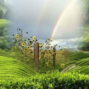 Meet your Posher, Natalia gallegos